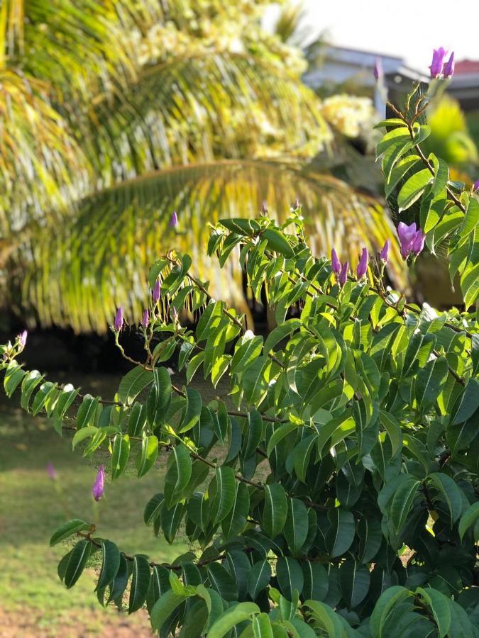 Sunshine Hotel Little Corn Island Buitenkant foto